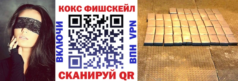 купить наркотик  Закаменск  COCAIN FishScale 