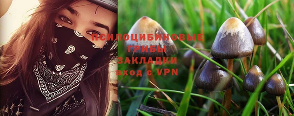 мяу мяу мука Балахна