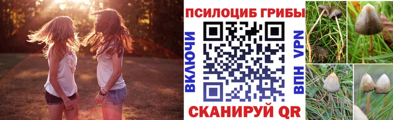 Галлюциногенные грибы мицелий  Закаменск 